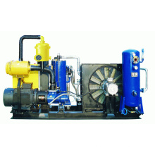 Compressor de ar de parafuso personalizado especial (SETC90A-8)